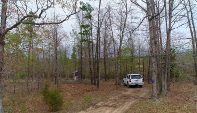 Owner Financed Hunting and Recreational Land in Missouri and Arkansas