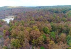 Owner Financed Hunting and Recreational Land in Missouri and Arkansas