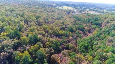Owner Financed Hunting and Recreational Land in Missouri and Arkansas