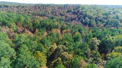 Owner Financed Hunting and Recreational Land in Missouri and Arkansas