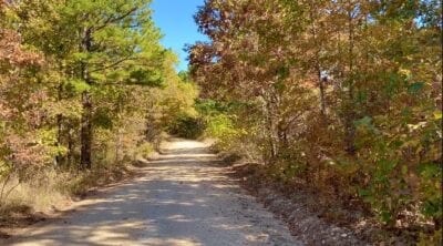 Owner Financed Hunting and Recreational Land in Missouri and Arkansas