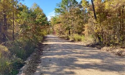 Owner Financed Hunting and Recreational Land in Missouri and Arkansas