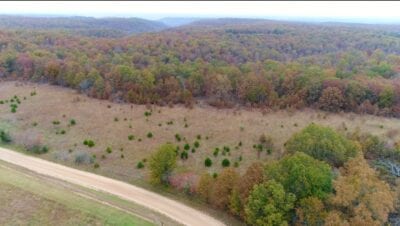 Owner Financed Hunting and Recreational Land in Missouri and Arkansas