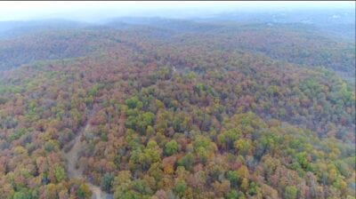 Owner Financed Hunting and Recreational Land in Missouri and Arkansas