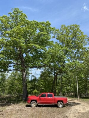 Owner Financed Hunting and Recreational Land in Missouri and Arkansas