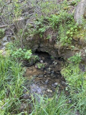 Owner Financed Hunting and Recreational Land in Missouri and Arkansas