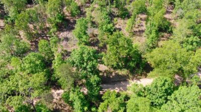 Owner Financed Hunting and Recreational Land in Missouri and Arkansas