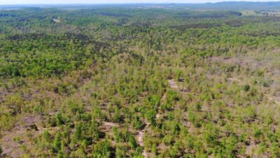 Owner Financed Hunting and Recreational Land in Missouri and Arkansas