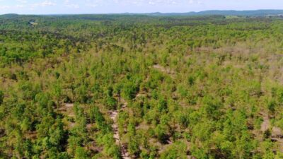 Owner Financed Hunting and Recreational Land in Missouri and Arkansas