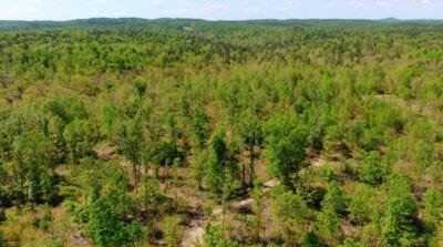 Owner Financed Hunting and Recreational Land in Missouri and Arkansas