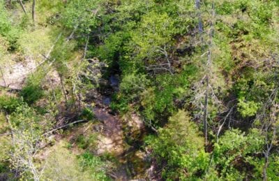 Owner Financed Hunting and Recreational Land in Missouri and Arkansas