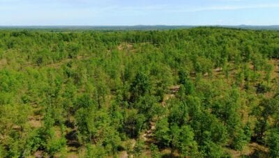 Owner Financed Hunting and Recreational Land in Missouri and Arkansas