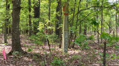 Owner Financed Hunting and Recreational Land in Missouri and Arkansas