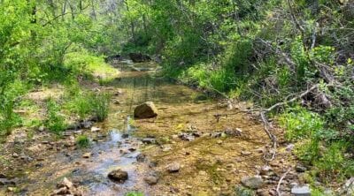 Owner Financed Hunting and Recreational Land in Missouri and Arkansas