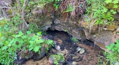 Owner Financed Hunting and Recreational Land in Missouri and Arkansas