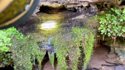 Owner Financed Hunting and Recreational Land in Missouri and Arkansas