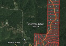 Owner Financed Hunting and Recreational Land in Missouri and Arkansas