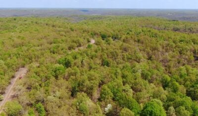 Owner Financed Hunting and Recreational Land in Missouri and Arkansas