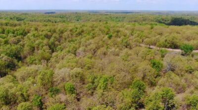 Owner Financed Hunting and Recreational Land in Missouri and Arkansas