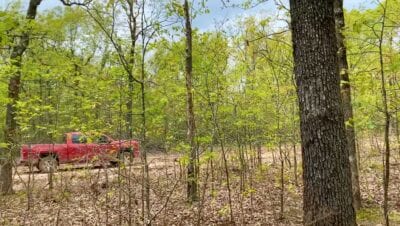 Owner Financed Hunting and Recreational Land in Missouri and Arkansas