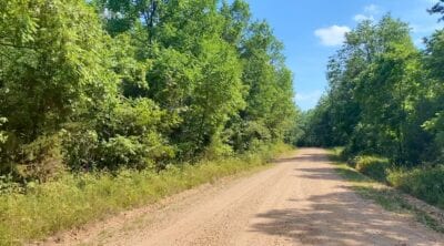 Owner Financed Hunting and Recreational Land in Missouri and Arkansas