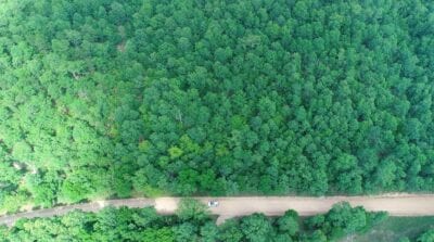 Owner Financed Hunting and Recreational Land in Missouri and Arkansas