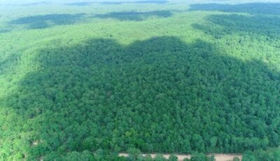 Owner Financed Hunting and Recreational Land in Missouri and Arkansas