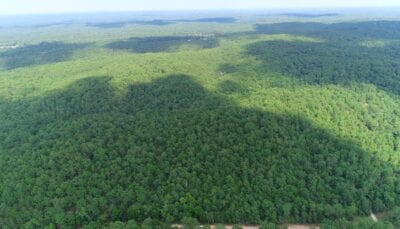 Owner Financed Hunting and Recreational Land in Missouri and Arkansas