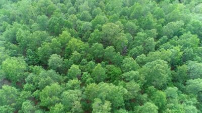 Owner Financed Hunting and Recreational Land in Missouri and Arkansas