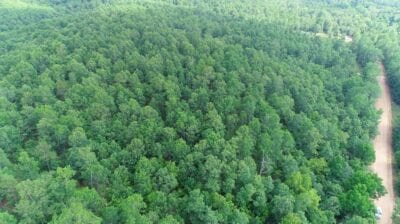 Owner Financed Hunting and Recreational Land in Missouri and Arkansas