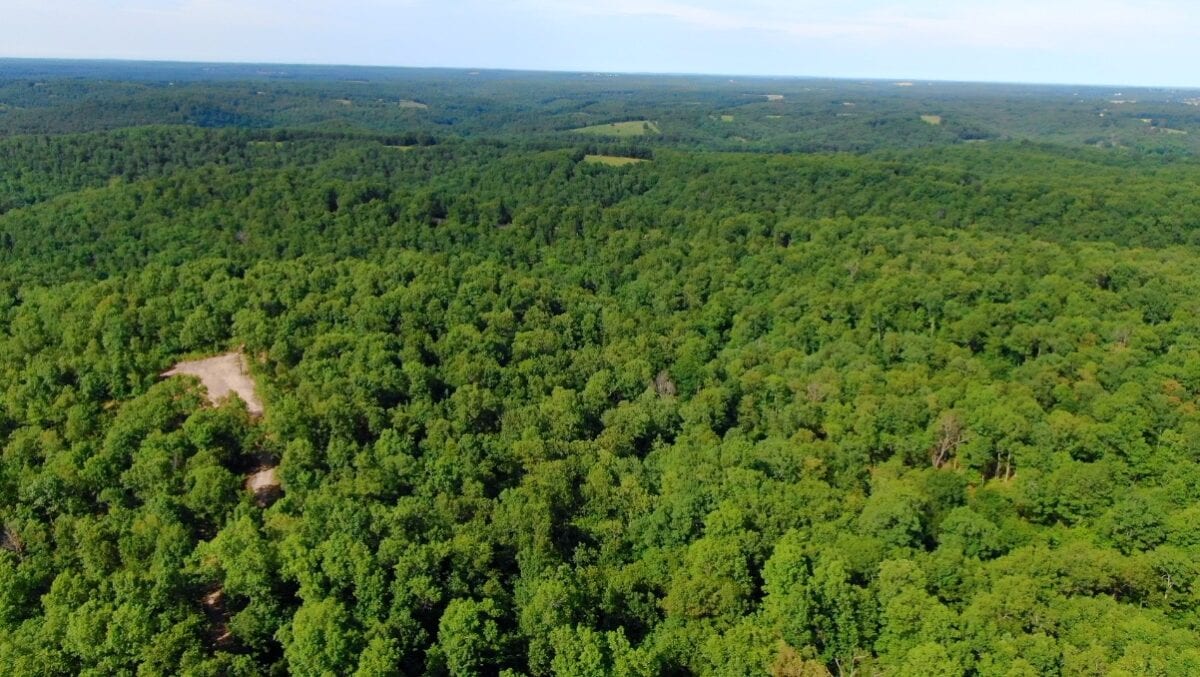 Wooded Ridges Heavily wooded 5.304 Acres at Whitetail Ridge - ID#WR56 - InstantAcres ...