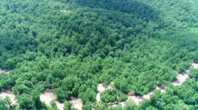 Owner Financed Hunting and Recreational Land in Missouri and Arkansas