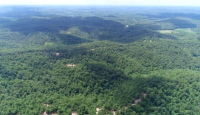 Owner Financed Hunting and Recreational Land in Missouri and Arkansas