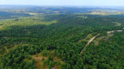 Owner Financed Hunting and Recreational Land in Missouri and Arkansas