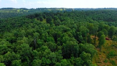 Owner Financed Hunting and Recreational Land in Missouri and Arkansas