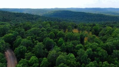 Owner Financed Hunting and Recreational Land in Missouri and Arkansas