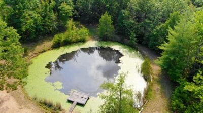 Owner Financed Hunting and Recreational Land in Missouri and Arkansas