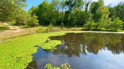 Owner Financed Hunting and Recreational Land in Missouri and Arkansas