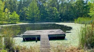 Owner Financed Hunting and Recreational Land in Missouri and Arkansas