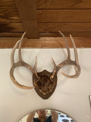 Owner Financed Hunting and Recreational Land in Missouri and Arkansas