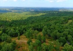 Owner Financed Hunting and Recreational Land in Missouri and Arkansas