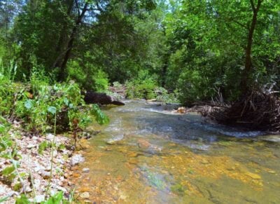 Owner Financed Hunting and Recreational Land in Missouri and Arkansas