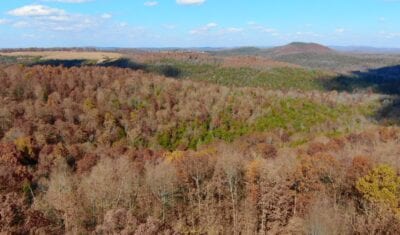 Owner Financed Hunting and Recreational Land in Missouri and Arkansas
