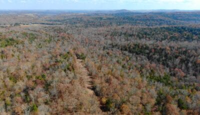 Owner Financed Hunting and Recreational Land in Missouri and Arkansas
