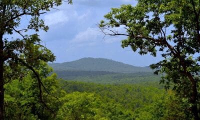 Owner Financed Hunting and Recreational Land in Missouri and Arkansas