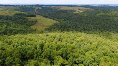 Owner Financed Hunting and Recreational Land in Missouri and Arkansas