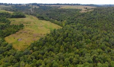 Owner Financed Hunting and Recreational Land in Missouri and Arkansas