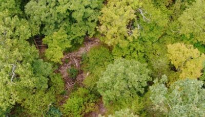 Owner Financed Hunting and Recreational Land in Missouri and Arkansas