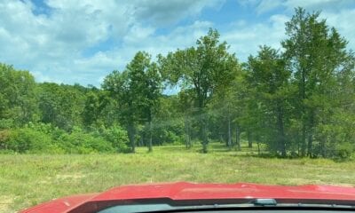 Owner Financed Hunting and Recreational Land in Missouri and Arkansas