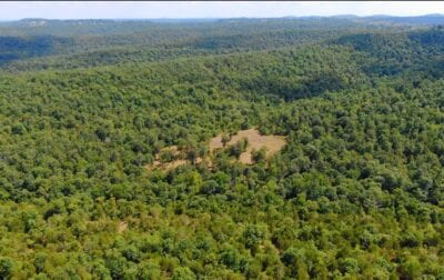 Owner Financed Hunting and Recreational Land in Missouri and Arkansas